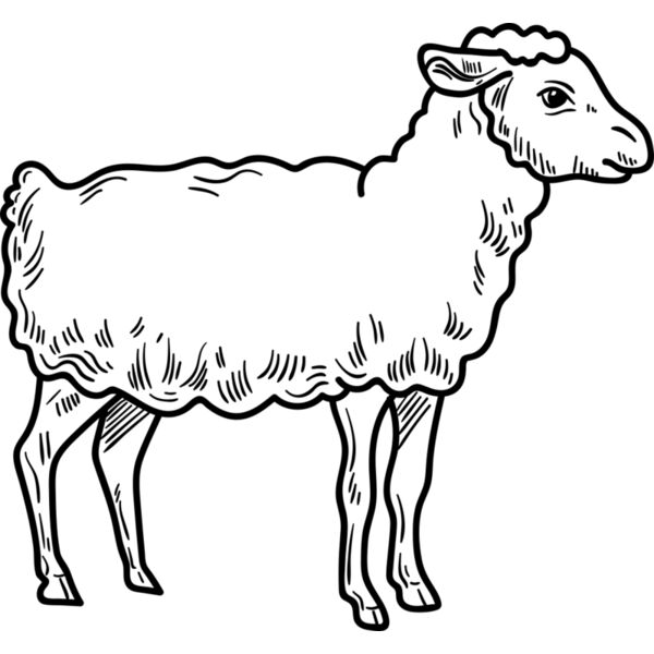 Lamb   Clipart 3 Thumbnail