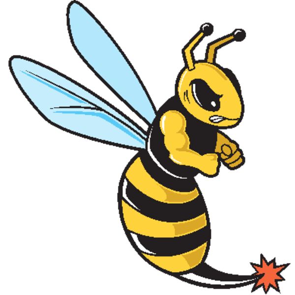 Yellow Jacket Thumbnail