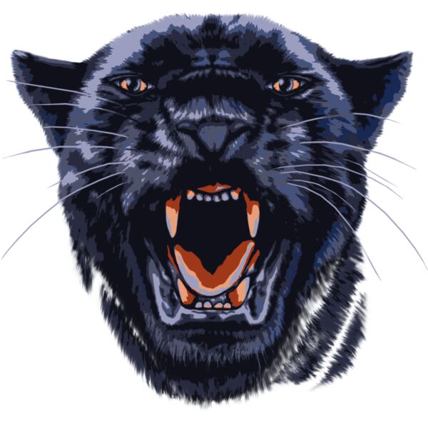 Panther Thumbnail