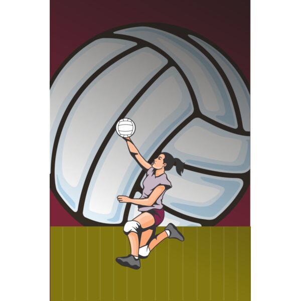 Volleyball 01 24x36 Thumbnail