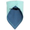 Infant Premium Jersey Bandana Bib Thumbnail