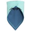 Infant Premium Jersey Bandana Bib Thumbnail